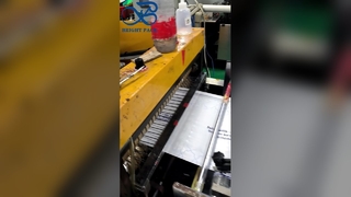 La aduana imprimió el bolso reciclable del regalo del logotipo personalizado de los bolsos del glassine esmerilado