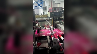 La aduana plástica se levanta la bolsa de encargo del almacenamiento del bocado de la marca de la impresión de la bolsa