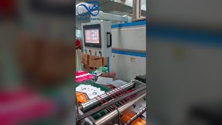 Bolsa de pie Bolsa Ziplock resellable para conservación de productos frescos de calidad alimentaria