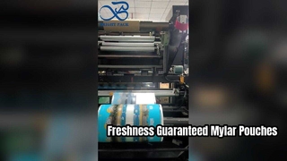 Bolsa de almacenamiento que se puede volver a sellar hermética de la categoría alimenticia de la bolsa de Mylar impresa