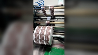 Rollo de película personalizado a prueba de humedad de la impresión de la película de encargo del acondicionamiento de los alimentos de la alta barrera