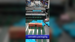 Bolsa con candado para niños de cannabis: Bolsa personalizada B2B a prueba de olores que cumple con la patente de EE. UU. Al por mayor