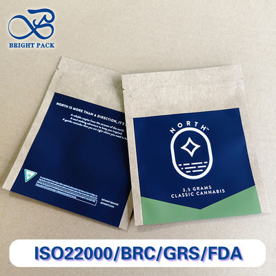 Bolsas de papel kraft personalizadas con impresión a granel, ecológicas, impresión de logotipo a 10 colores para minoristas.